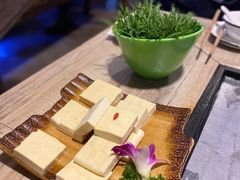 -哈吱喂丽江火塘·牦牛火锅(五一街店)