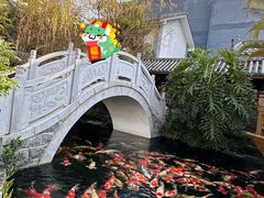 -香麒园·过桥米线·南湖雅宴