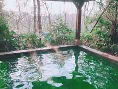 -天目湖涵田半山温泉