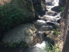 -藏龙百瀑风景区