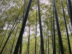 -千泷沟大瀑布旅游区