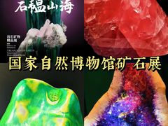 -国家自然博物馆