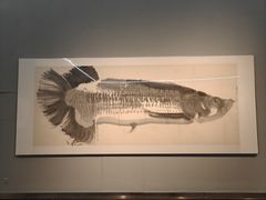-江苏省美术馆(长江路新馆)