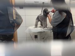 -帕帕拉兹宠物(亚洲旗舰店)