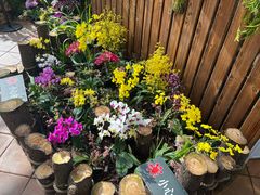 -国家植物园南园