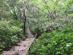 -老象峰