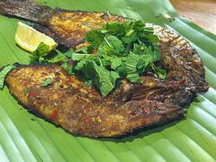 -花腰餐吧Bistro烧烤 傣味(传媒大学店)