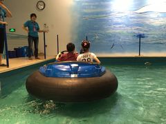 -蒙特利亲子乐园