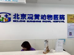 -北京观赏动物医院·24小时大型综合·猫专科·异宠专科