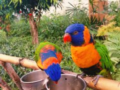 -南宫五洲植物乐园