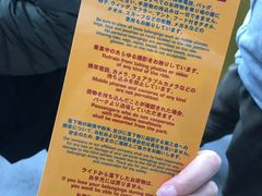 -飞天翼龙