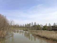 -宁波杭州湾国家湿地公园