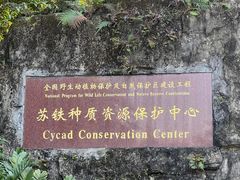 -深圳仙湖植物园
