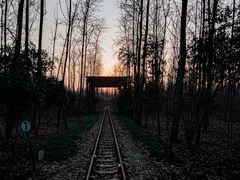 -合肥滨湖国家森林公园