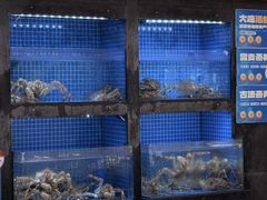 -连鹭海鲜·海肠捞饭·海胆饭(星海店)