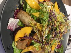 芒果鸡肉沙拉-我的四季意大利餐厅(春天百货店)