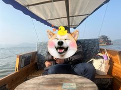 -西湖游船