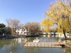 -J Create城市露营咖啡·简餐·宠物(上海动物园店)