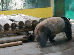 -杭州野生动物世界