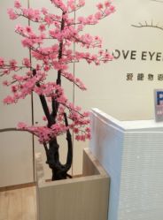 -爱睫物语·疗愈美睫美甲