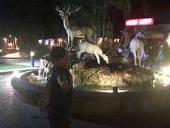 -清迈夜间动物园