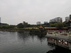 -深圳龙潭公园
