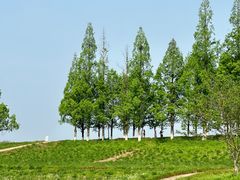 -良渚古城遗址公园