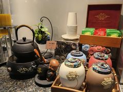 -虹桥机场国航贵宾室v8