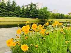 -江南大学(蠡湖校区)