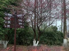 -洋湖国家湿地公园