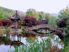 -石塘人家