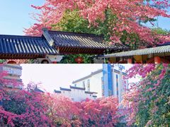 -风云岭森林公园