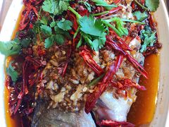 -杨氏青龙虾·羊蝎子(珠江路店)