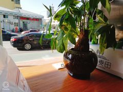 -酵種麦田(山师店)