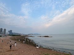 -小麦岛公园