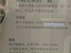 -北京麋鹿生态实验中心