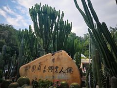 -深圳仙湖植物园