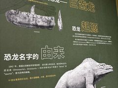 -衢州市博物馆