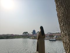 -上海海湾国家森林公园