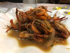 -老品芳
