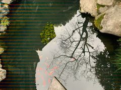 -慧娟面馆·餐厅(望江路店)