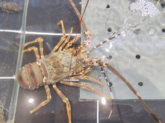 -宴周康·精致江浙菜(周浦店)