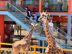 -西霞口神雕山野生动物世界