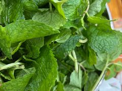 -攀枝花·任德琼·盐边羊肉米线