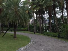 -蓝楹湾度假酒店