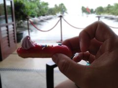 -亚龙湾喜来登·美景台大堂吧