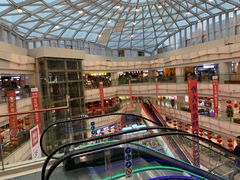 -高新活力汇Vitality