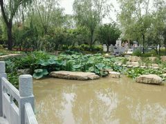 -武清南湖绿博园