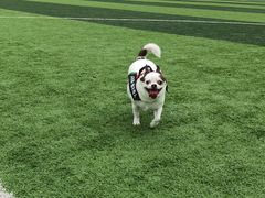 -冶春茶社(太和广场店)