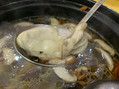 -濠轩阁特色生蚝火锅(水湾路店)